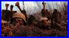 Excavations Of German Soldiers In Ammunition