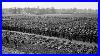 The Germans Were Shocked When 200 000 Of Their Soldiers Surrendered In The Ruhr Pocket