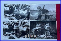 WWII German Shepherd Dogs Gas Mask Reprint Photos