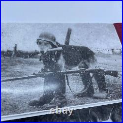 WWII German Shepherd Dogs Gas Mask Reprint Photos