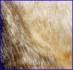 Ww2 German M43 Mouse Grey Rabbit Fur Winter Parka Great Coat Xxl-32554